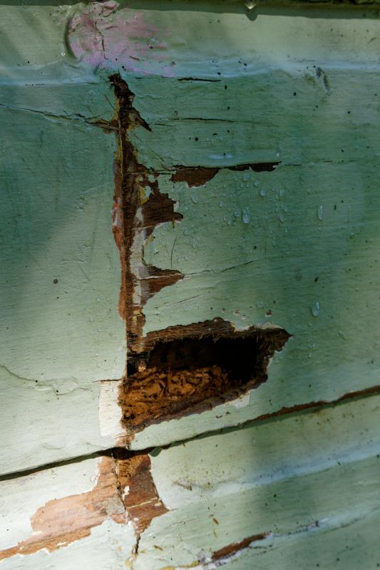 Damaged Exterior Boards